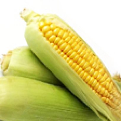 Nam sed elit sagittis